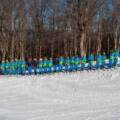Aggiornamento del 13/02/2021: Bando di selezione di “Maestro di Sci in Discipline Alpine” 2020