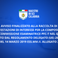AVVISO FINALIZZATO ALLA RACCOLTA DI MANIFESTAZIONI DI INTERESSE PERLA COMPOSIZIONE DELLA COMMISSIONE ESAMINATRICE PFC-T NEL QUADRODEFINITO DAL REGOLAMENTO DELEGATO (UE) 2019/907 DEL 14 MARZO 2019 ESS.MM.II. ALLEGATO 2